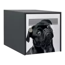 Sticker boîte aux lettres personnalisé Carlin