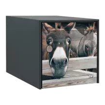 Sticker boîte aux lettres personnalisé Ane rigolo