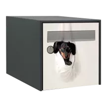 Sticker boîte aux lettres personnalisé Teckel