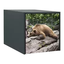 Sticker boîte aux lettres personnalisé Ours Brun