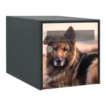 Sticker boîte aux lettres personnalisé Berger allemand