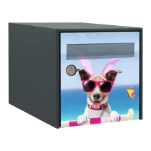 Sticker boîte aux lettres personnalisé Chien 3