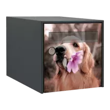 Sticker boîte aux lettres personnalisé Golden Retriever 2