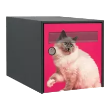 Sticker boîte aux lettres personnalisé Sacré de Birmanie 2