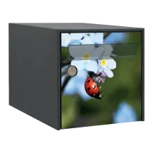 Sticker boîte aux lettres personnalisé Coccinelle