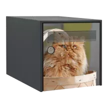 Sticker boîte aux lettres personnalisé Persan 2