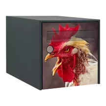 Sticker boîte aux lettres personnalisé Coq 2