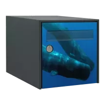 Sticker boîte aux lettres personnalisé Cachalot