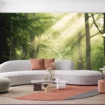 Papier Peint Panoramique Forêt Nature