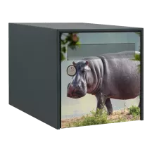 Sticker boîte aux lettres personnalisé Hippopotame