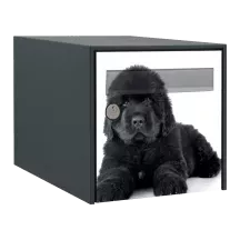 Sticker boîte aux lettres personnalisé Terre Neuve