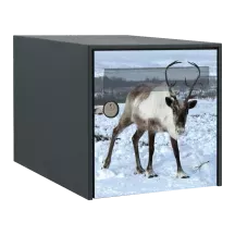 Sticker boîte aux lettres personnalisé Renne 2