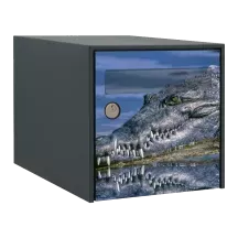 Sticker boîte aux lettres personnalisé Crocodile