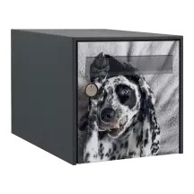 Sticker boîte aux lettres personnalisé Dalmatien