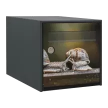 Sticker boîte aux lettres personnalisé Escargot