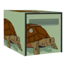 Sticker boîte aux lettres personnalisé Tortue 2