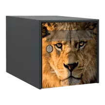 Sticker boîte aux lettres personnalisé Lion