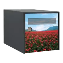 Sticker boîte aux lettres personnalisé Coquelicots
