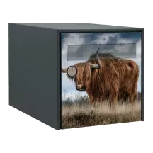 Sticker boîte aux lettres personnalisé Taureau 2