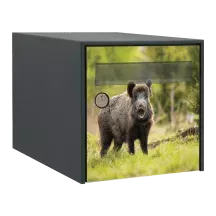 Sticker boîte aux lettres personnalisé Sanglier 3