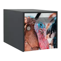 Sticker boîte aux lettres personnalisé Dindon 2