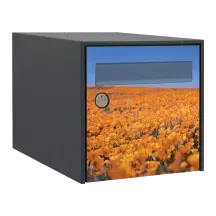 Sticker boîte aux lettres personnalisé Champ de fleurs