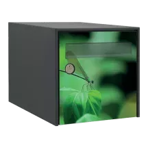 Sticker boîte aux lettres personnalisé Libellule