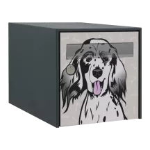 Sticker boîte aux lettres personnalisé Setter Anglais 2