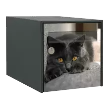 Sticker boîte aux lettres personnalisé Chartreux 2