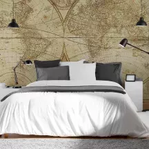 Papier Peint Panoramique Mappemonde Ancienne 2