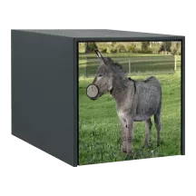 Sticker boîte aux lettres personnalisé Ane