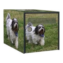 Sticker boîte aux lettres personnalisé Berger Polonais