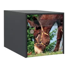 Sticker boîte aux lettres personnalisé Ane 2