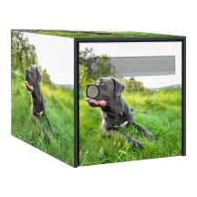 Sticker boîte aux lettres personnalisé Cane Corso