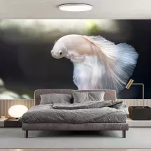 Papier Peint Panoramique Poisson Combattant