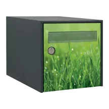 Sticker boîte aux lettres personnalisé Herbes