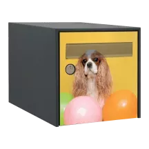 Sticker boîte aux lettres personnalisé Cavalier King-Charles