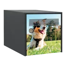 Sticker boîte aux lettres personnalisé Berger Australien