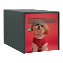 Sticker boîte aux lettres personnalisé Shih Tzu