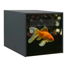 Sticker boîte aux lettres personnalisé Poisson rouge