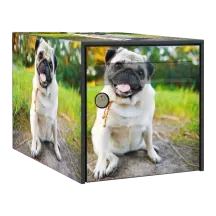 Sticker boîte aux lettres personnalisé Carlin 3