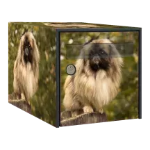 Sticker boîte aux lettres personnalisé Pekinois