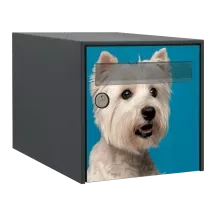 Sticker boîte aux lettres personnalisé Westie