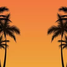 Affiche personnalisée Palmier Ombre 2