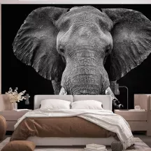 Papier Peint Panoramique Eléphant