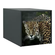 Sticker boîte aux lettres personnalisé Jaguar