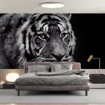 Papier Peint Panoramique Tigre