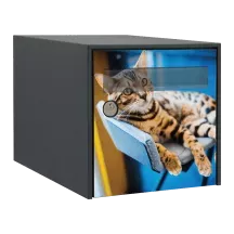 Sticker boîte aux lettres personnalisé Bengal 2