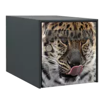 Sticker boîte aux lettres personnalisé Léopard