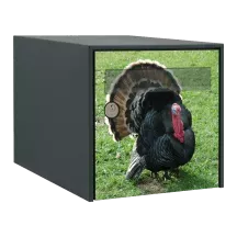 Sticker boîte aux lettres personnalisé Dindon